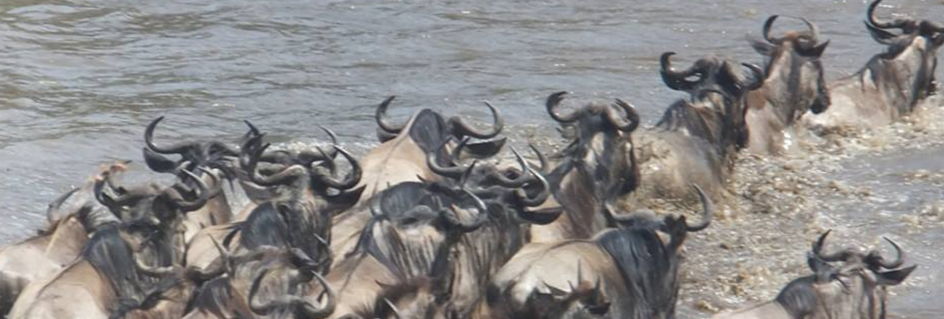 Kenya and Tanzania cross-border safari