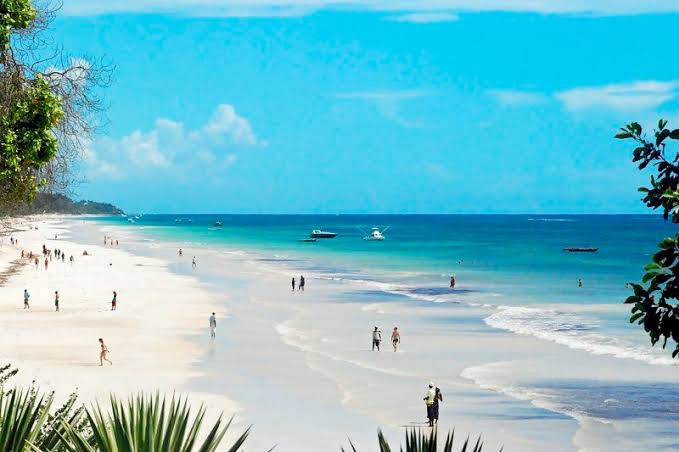 Coastal Experiences