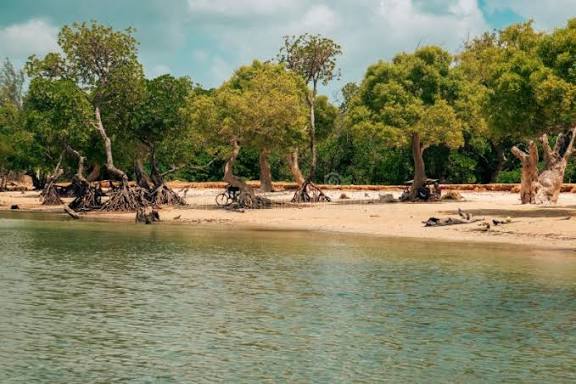 Kenya coastal cultural tour itinerary