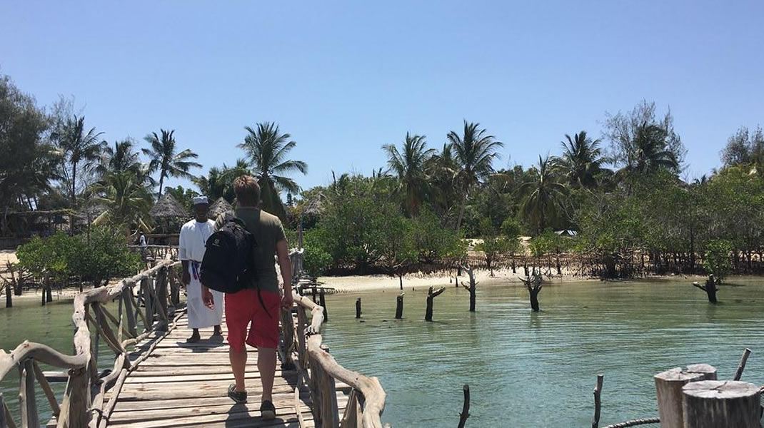Wooden walkway and mangrove scenery on Funzi Island