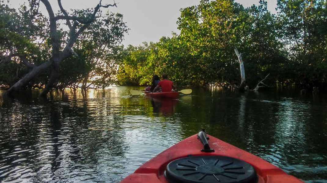 Kayaking through mangrove waterways near Funzi Island