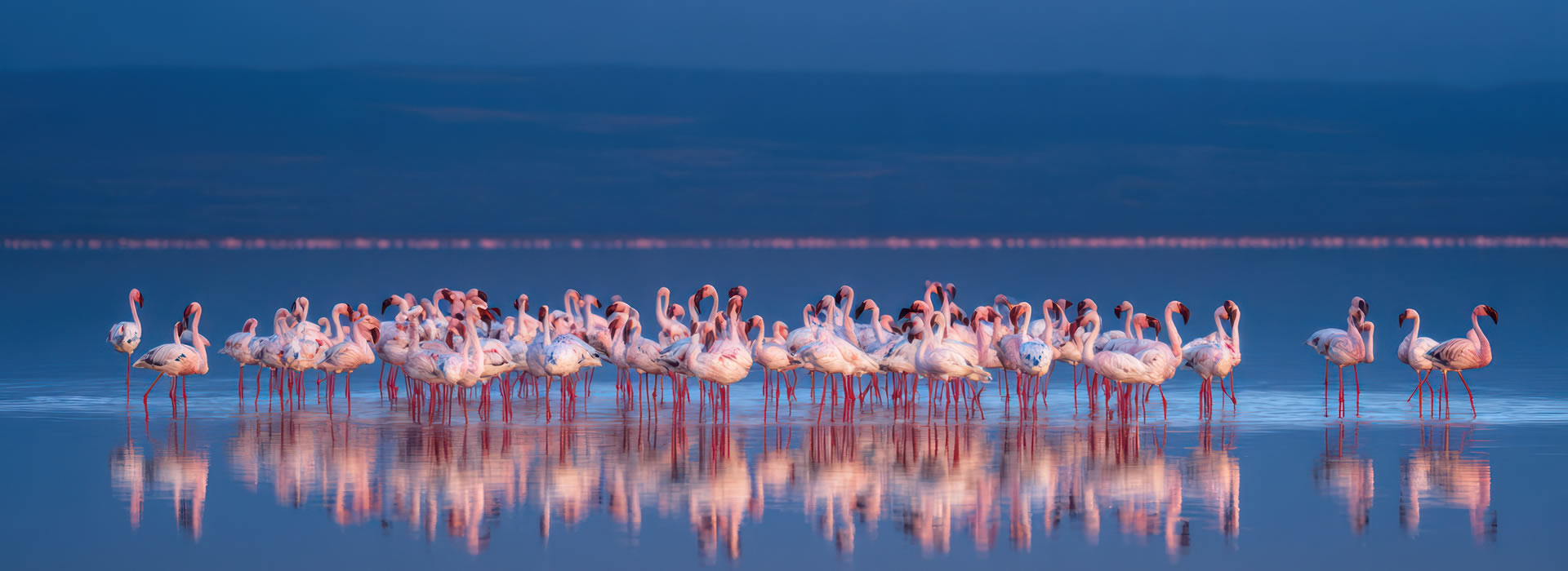 Lake Nakuru