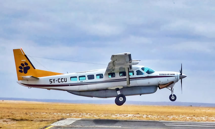 Featured safari experiences