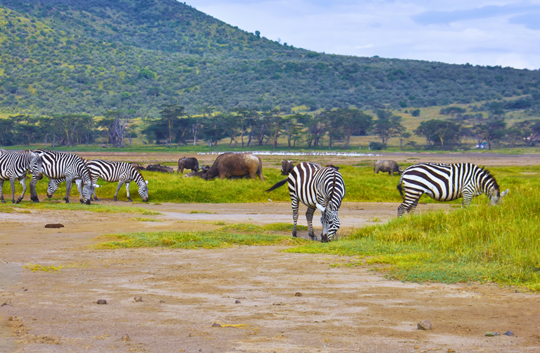 Lake Nakuru viewpoint