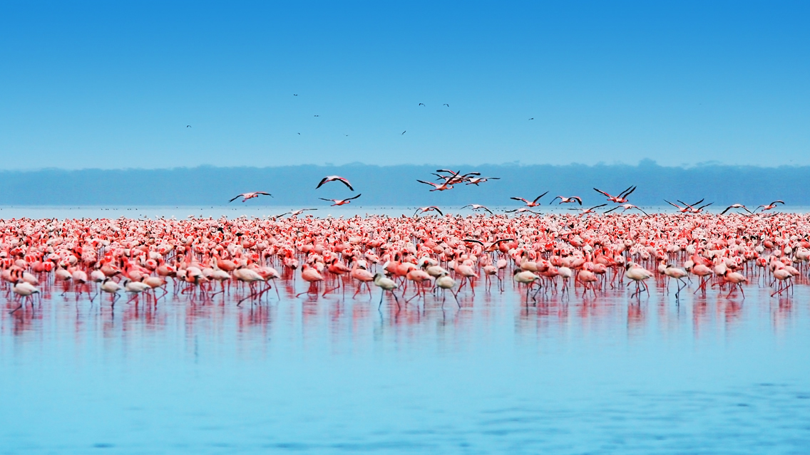 Road Safaris from Nairobi