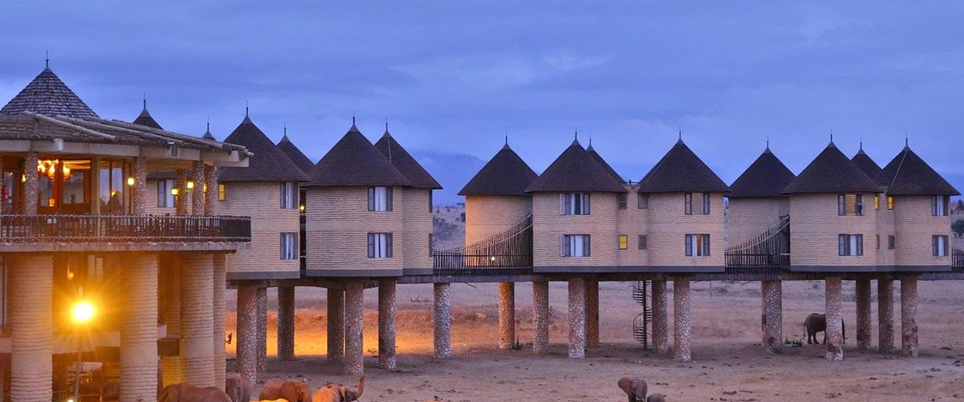 Salt Lick Safari Lodge