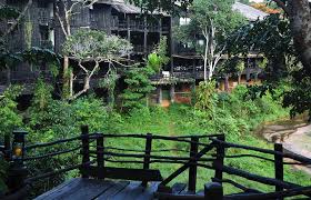 Shimba Hills green landscape