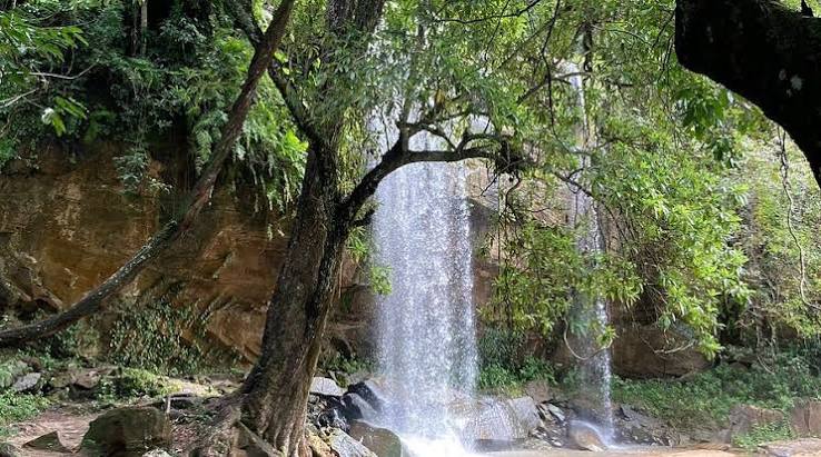 Shimba Hills waterfall and forest