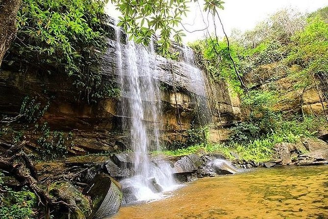 Shimba Hills Mwaluganje Elephant Sanctuary itinerary