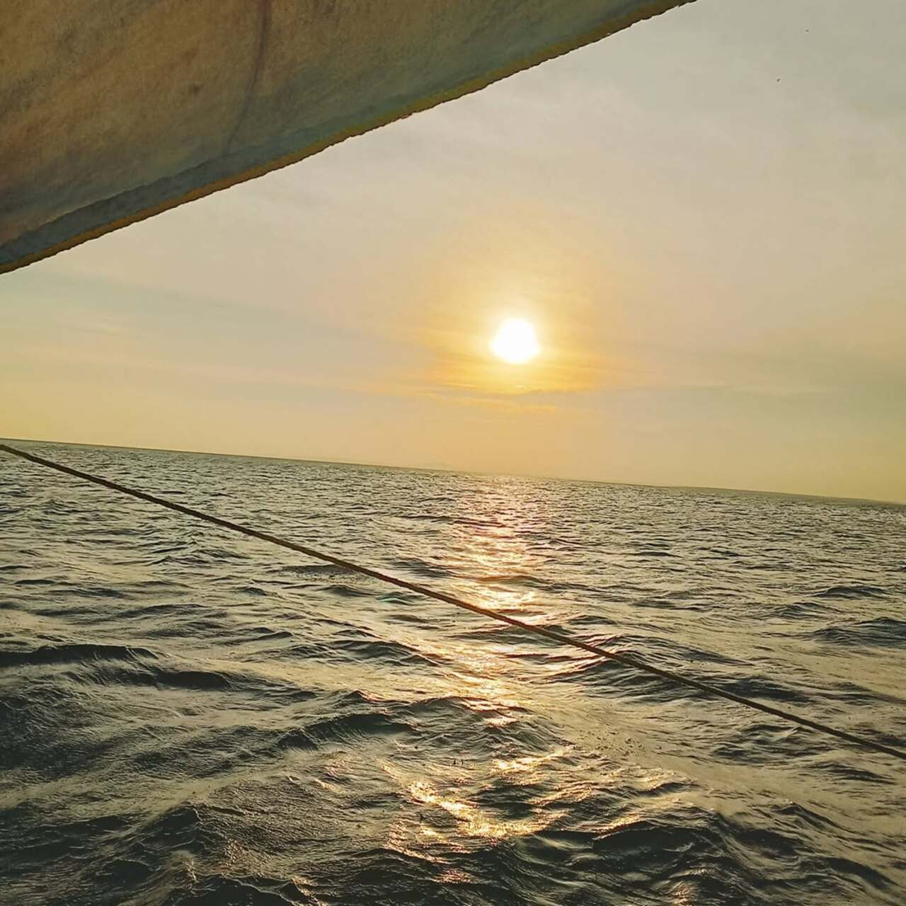 Coastal sunset sailing experience