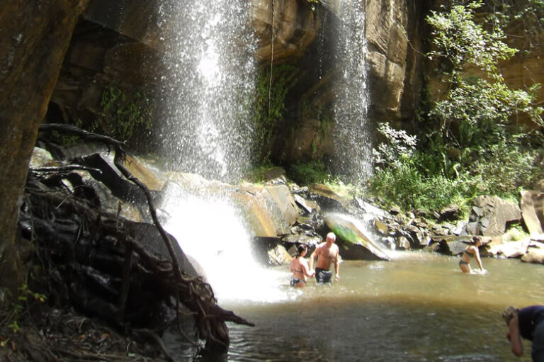 1 day shimba hills
