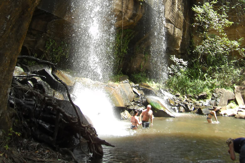 1 day shimba hills