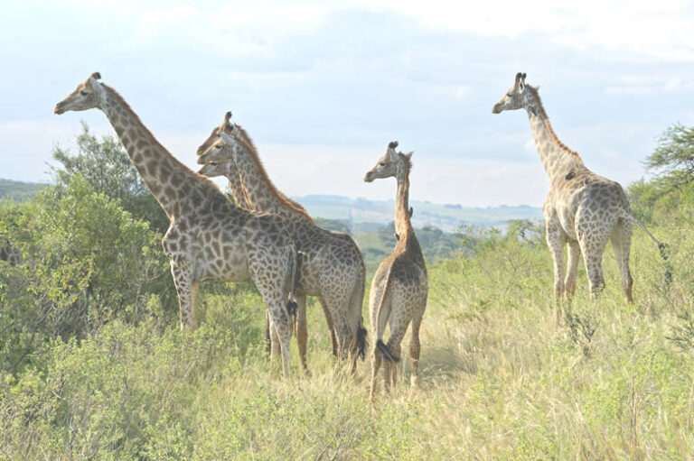 2_days_samburu