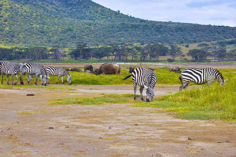 3 Days Tsavo East, West And Amboseli National Park_2