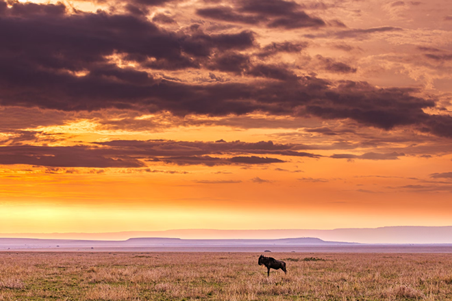 7 Days Masai Mara, Lake Nakuru, Amboseli, Tsavo East and west_2