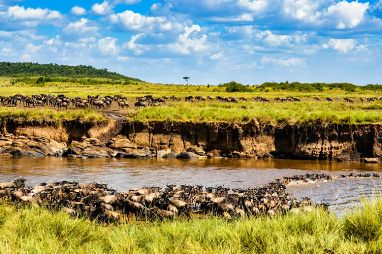 8 Days Safari To Amboseli, Samburu, Maasai Mara_3